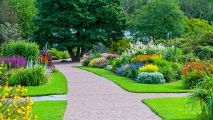 The Artistry of Landscaping Image